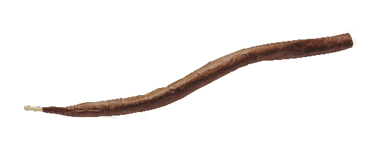 Villiger Curly