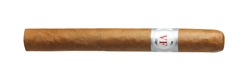VegaFina Corona 25er