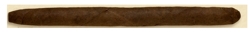 Partageno y Cia Panetela 142 Sumatra