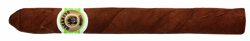 Macanudo Connecticut Ascot