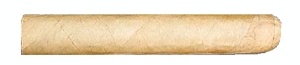 5th Generation Corona Sumatra