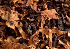 House of Smoke No 3 Danish Virginia