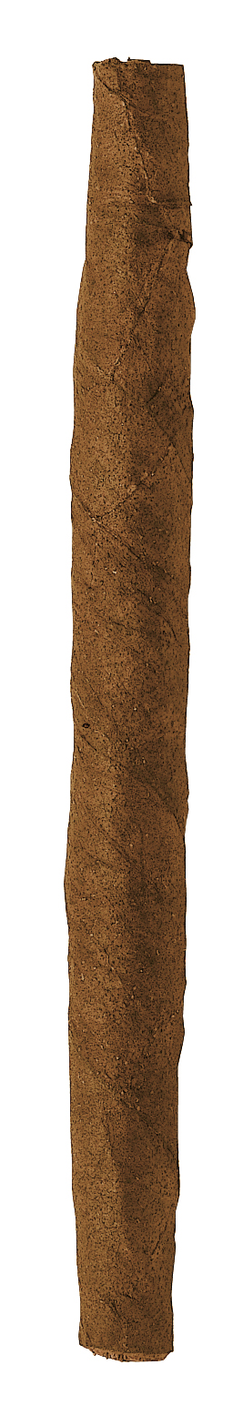 Zino Mini Cigarillo Nicaragua